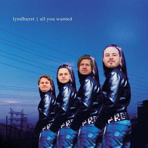 Cover art for All You Wanted